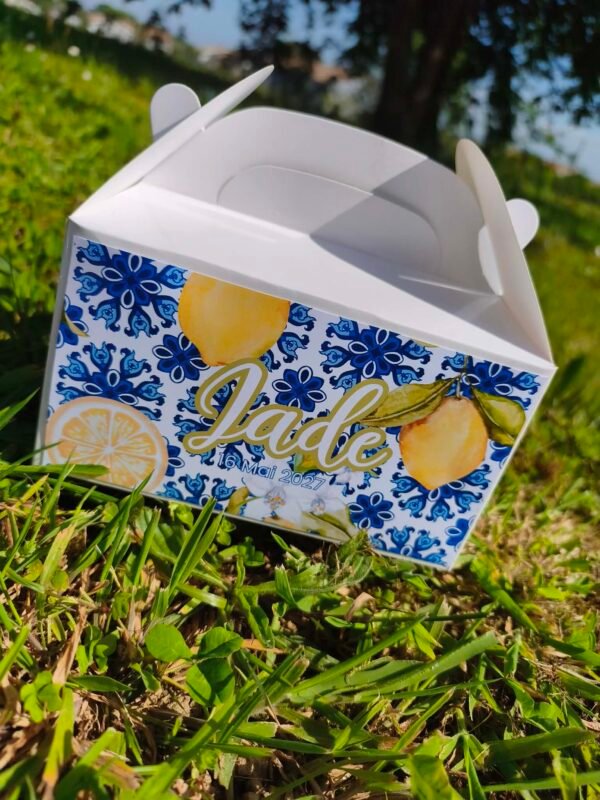 Lunch box (vide)
